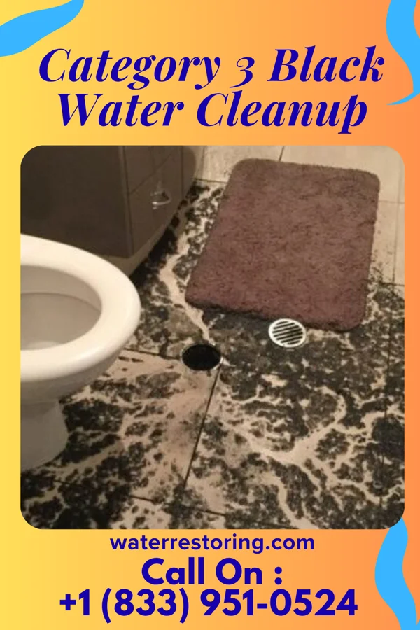 Category 3 Black Water Cleanup in Somerville, TX